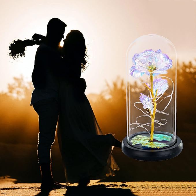 Beauty and the Beast Rose in Glass Dome LED Lights Crystal Rose Flowers Gift for Birthday Anniversary Valentine's Day Wedding Girlfriend Wife Women